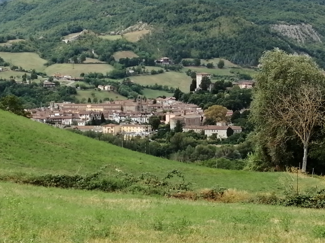 Relais Sant'Ambrogio Agriturismo主图