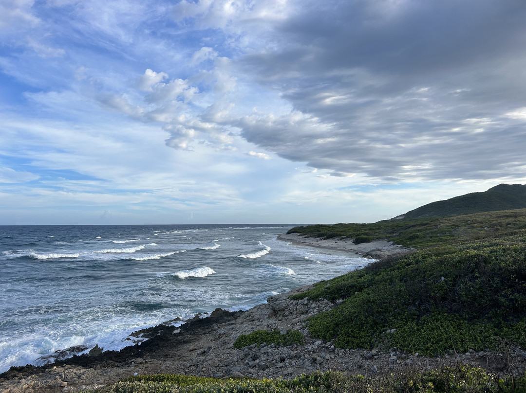 Altos de la Caobita主图