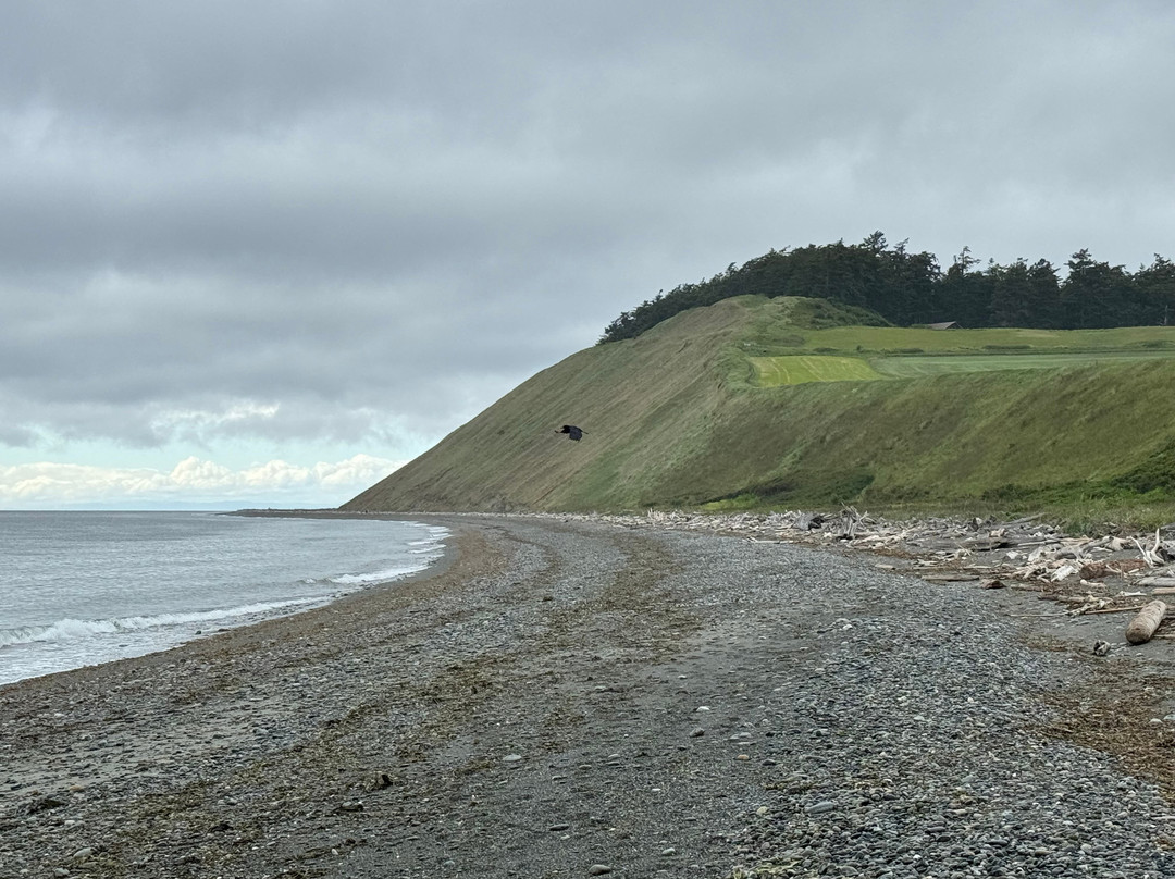 Ebey's Landing National Historical Reserve景点图片