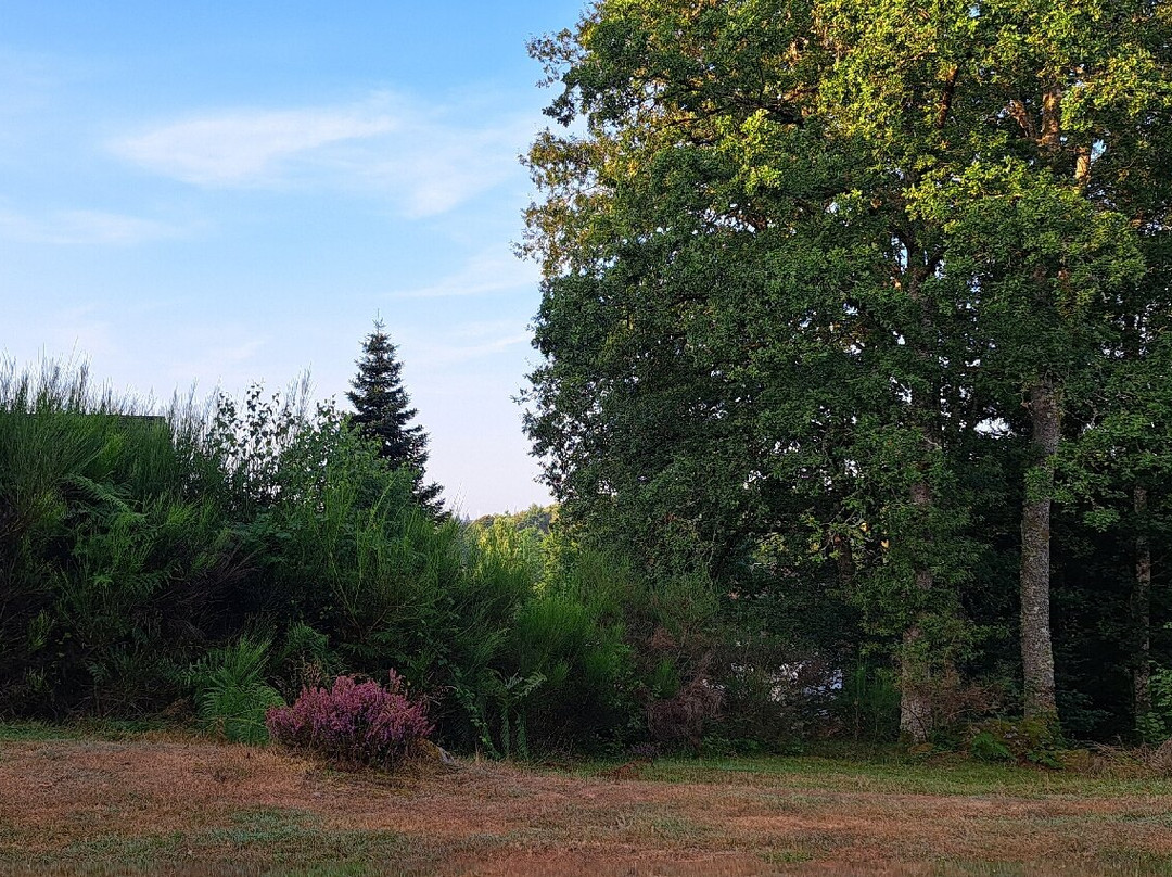 Hôtel Les Gravades主图