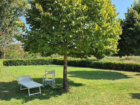 Farmhouse il Canneto主图