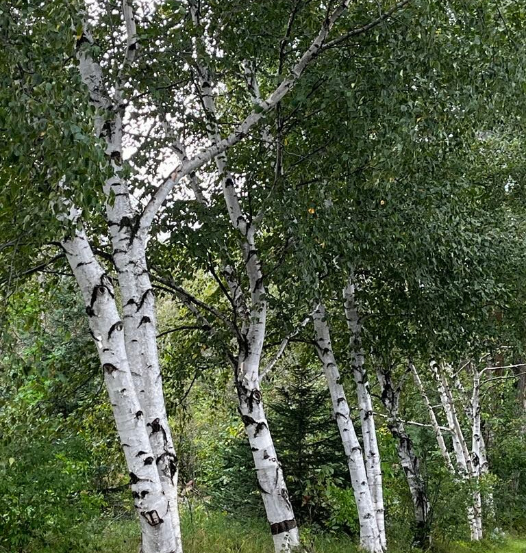 Parc du Gouffre-Baie-St-Paul必去景点