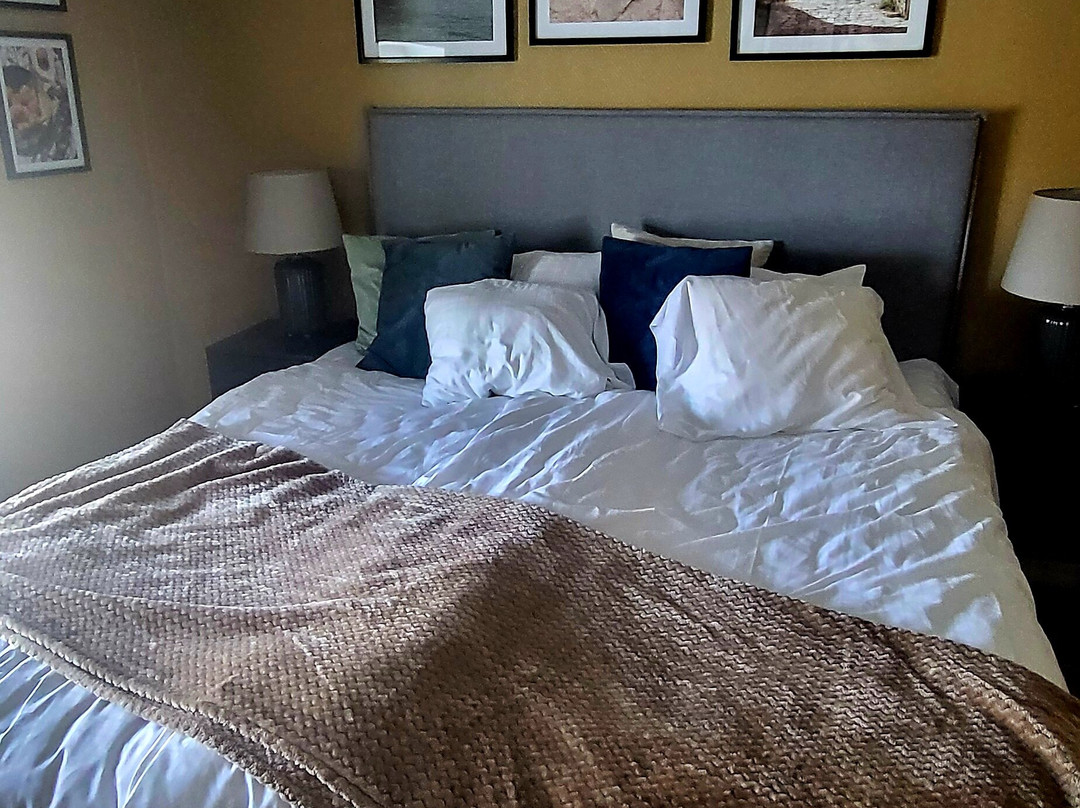 卢德维卡司丹思酒店主图