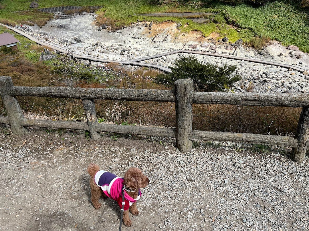 Sesshoseki Rocks-那须町必去景点