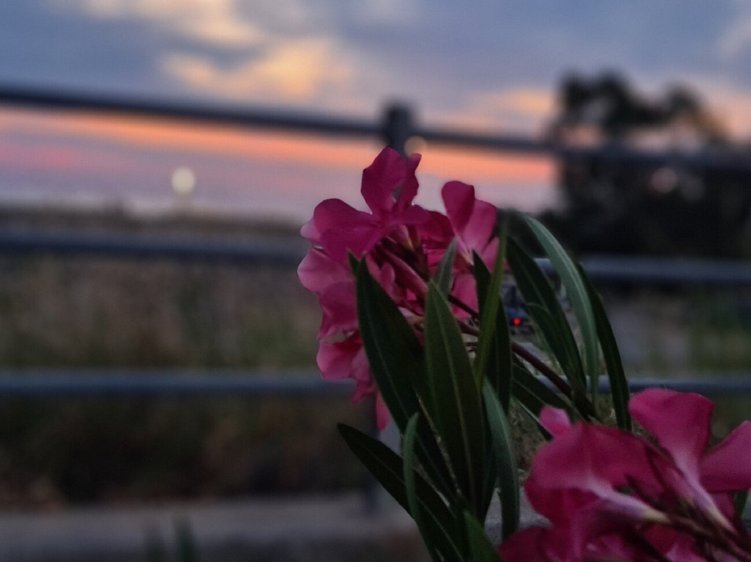 Suite Hotel Dominicus