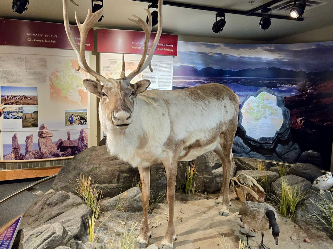 Unikkaarvik Visitor Centre-Iqaluit必去景点