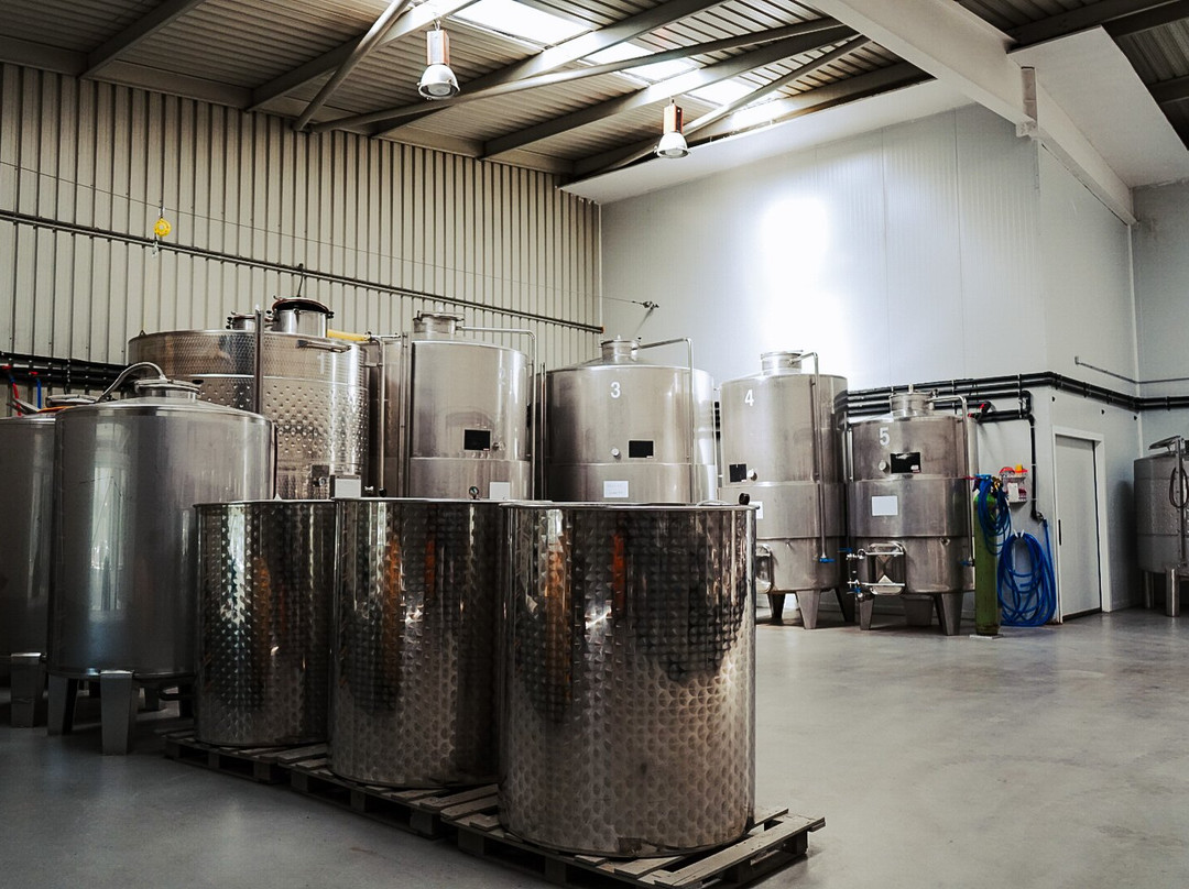 Bodega Huerto De La Condesa-隆达必去景点