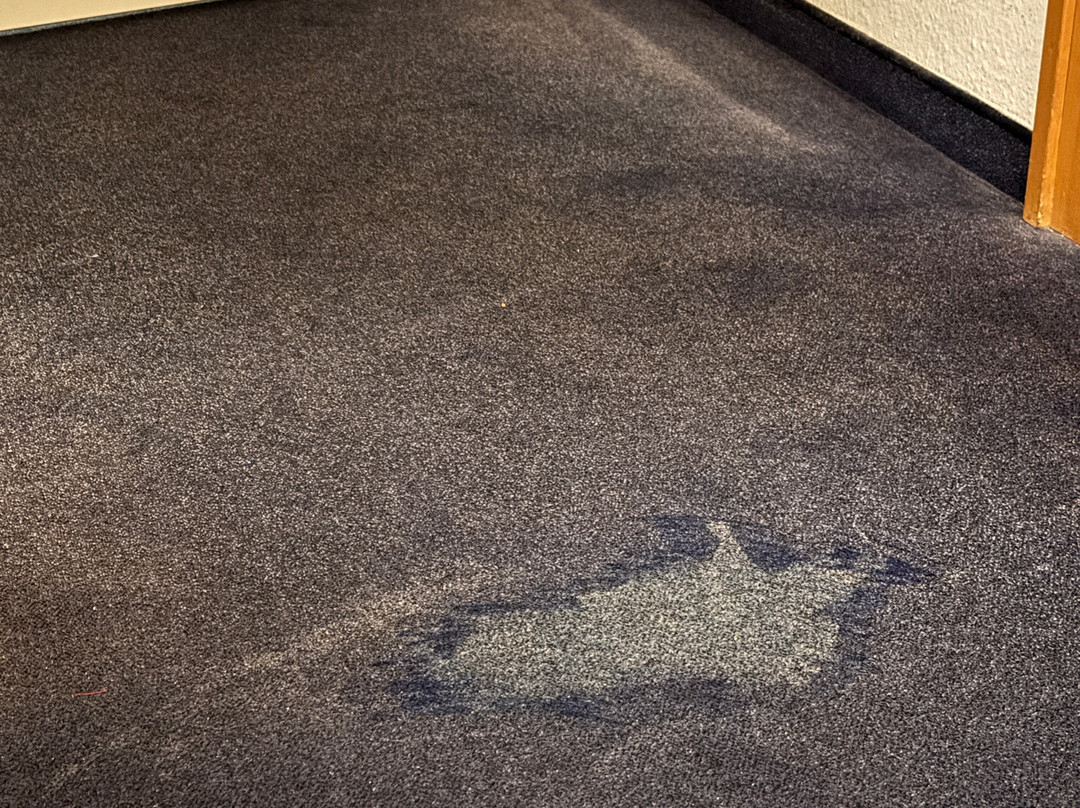 B&B HOTEL Passau-Süd主图