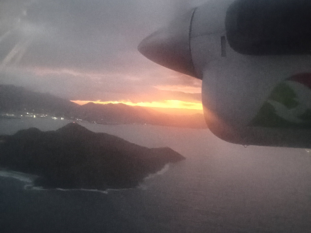 Chauve Souris Relais主图