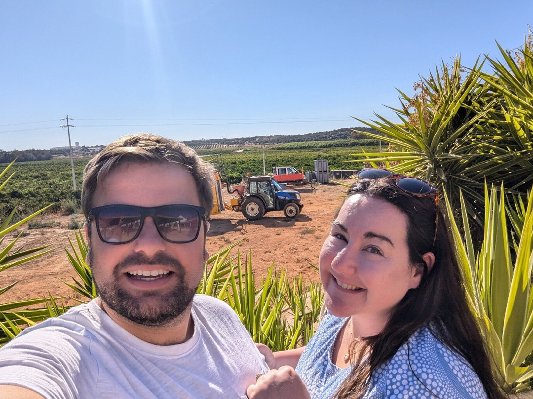 Villa Alvor - Wine & Tourism景点图片