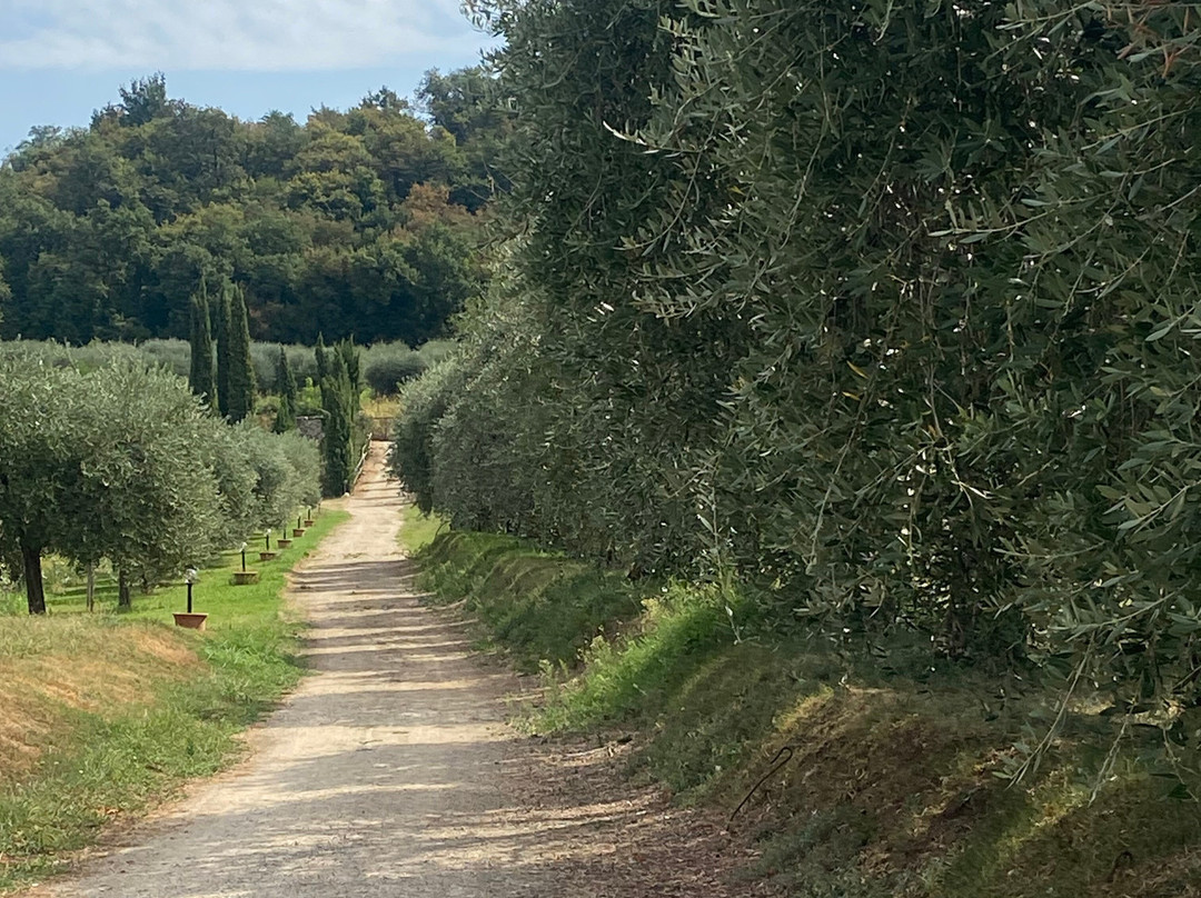 Agriturismo Sambuco主图