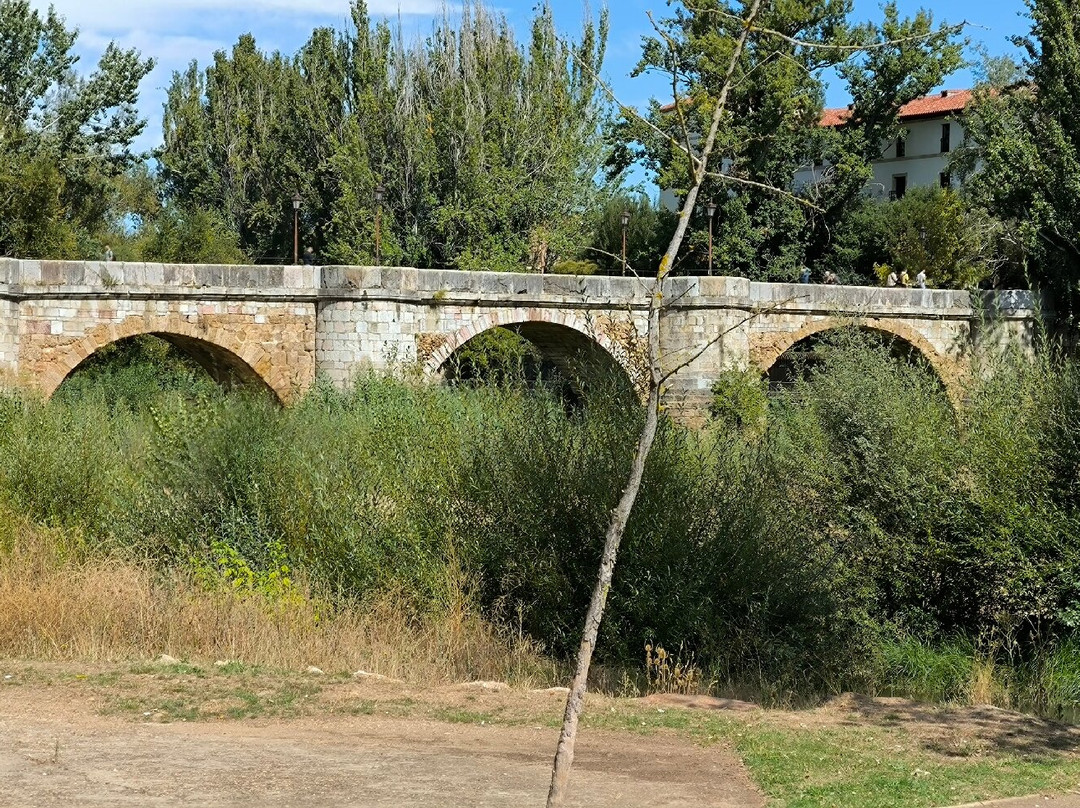 Puente Romano de San Marcos