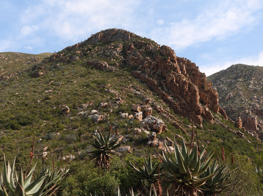 Seweweekspoort-Ladismith必去景点