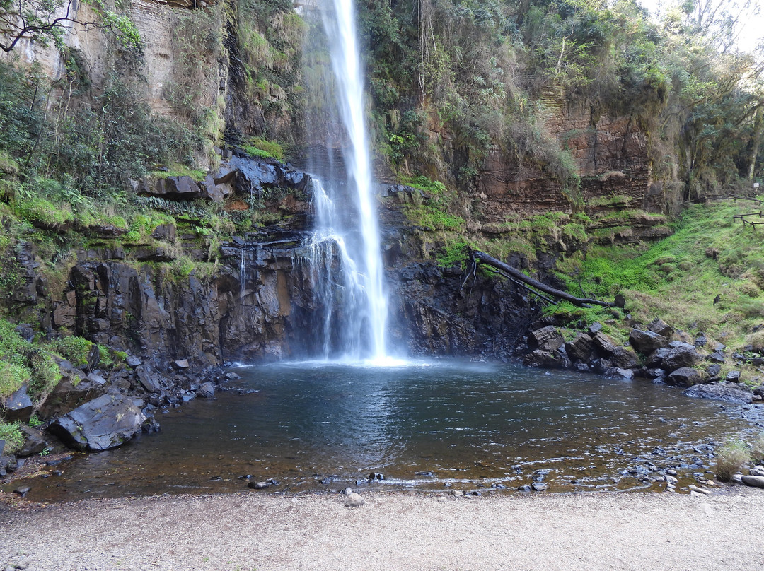 Lone Creek Falls-沙比必去景点
