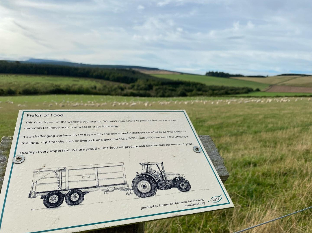 Bairnkine Farm Tours-Jedburgh必去景点