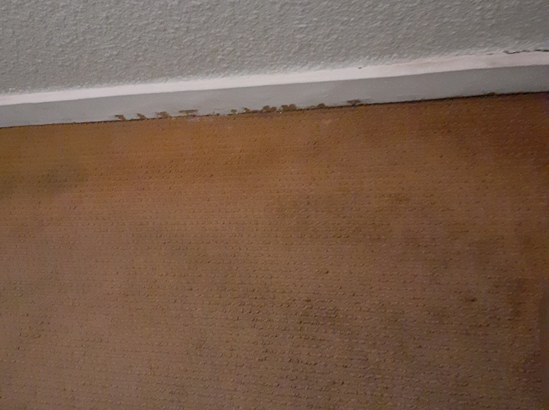 Hotel Campanile Nantes Ouest - Saint Herblain主图