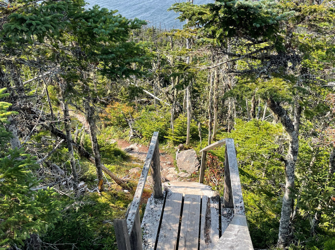 Skerwink Trail景点图片