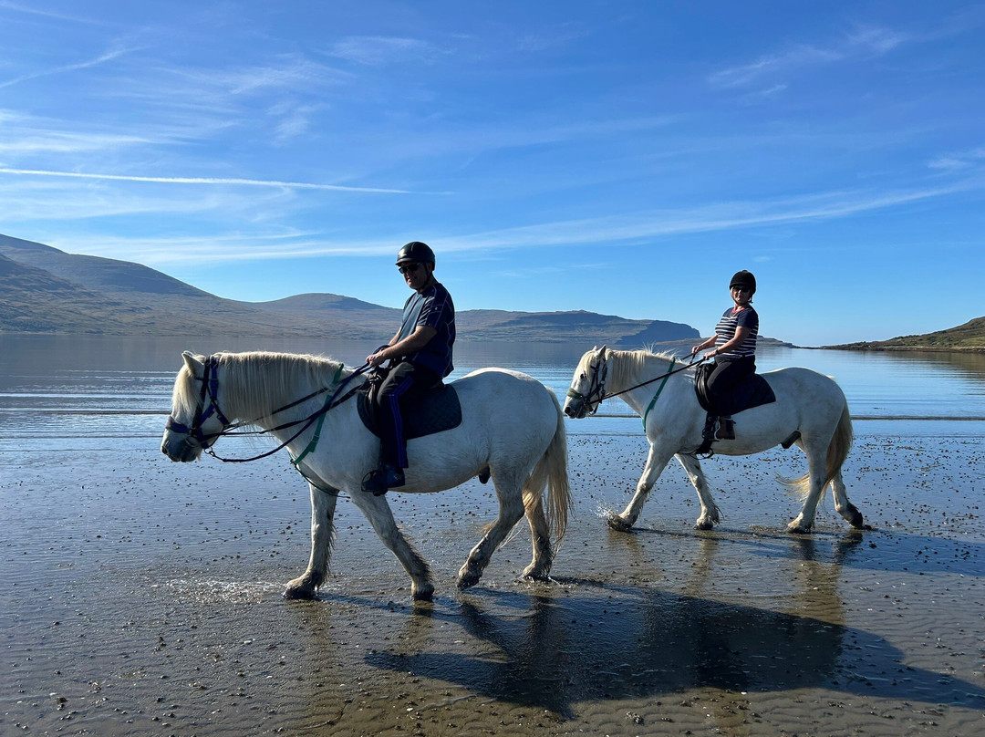 Mull Pony Trekking-马尔岛必去景点