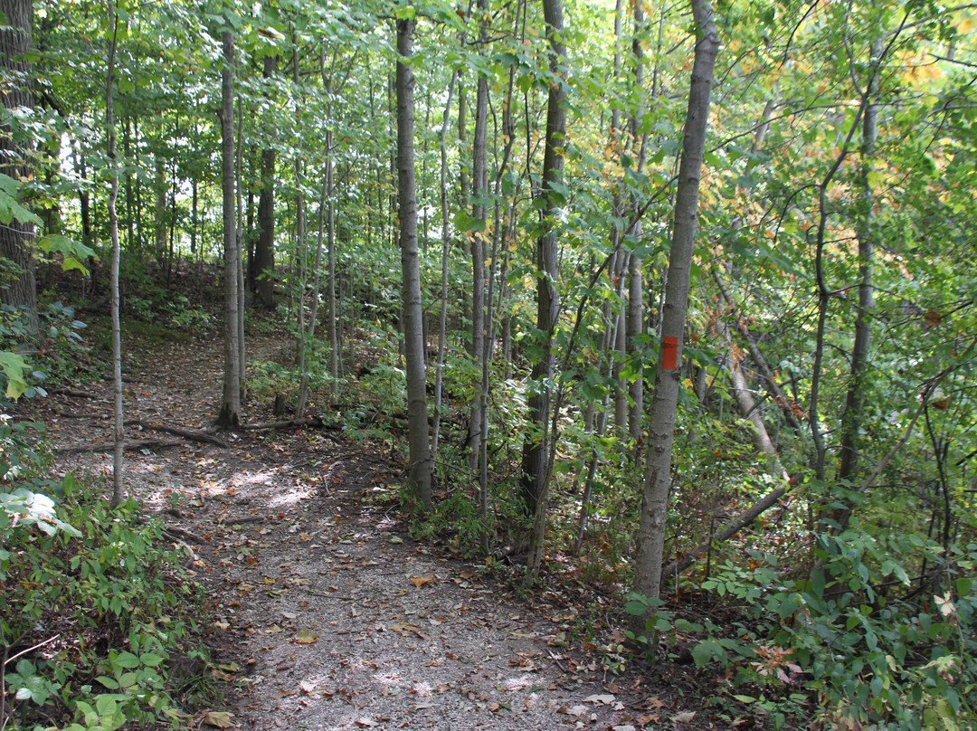 Lorne C. Henderson Conservation Area景点图片