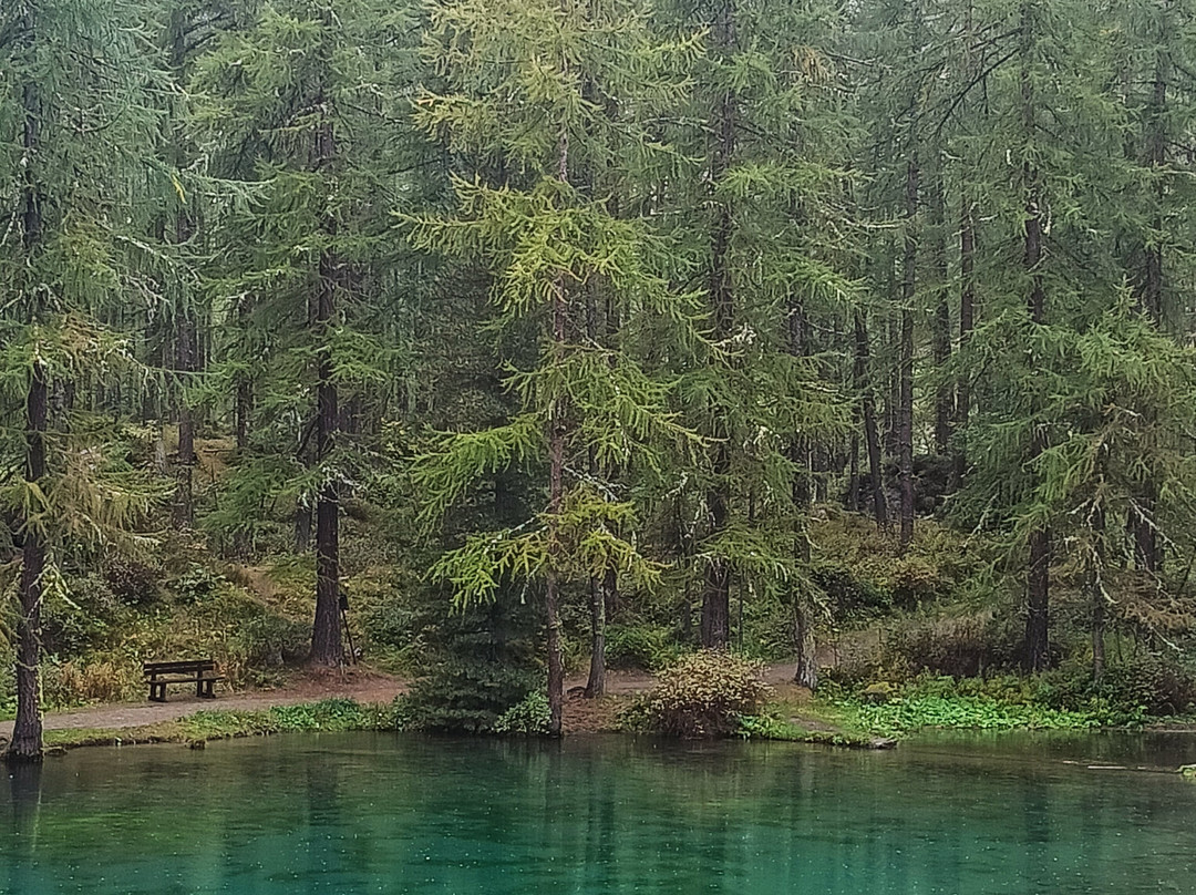 Lago Pellaud景点图片