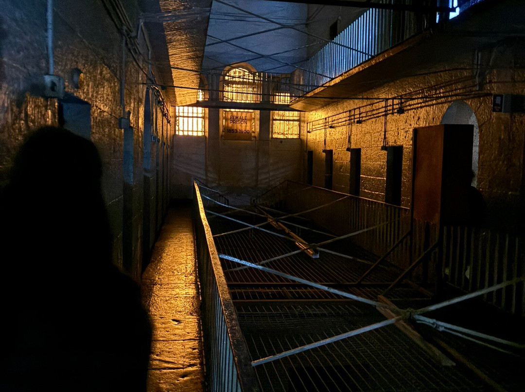 Twisted History景点图片
