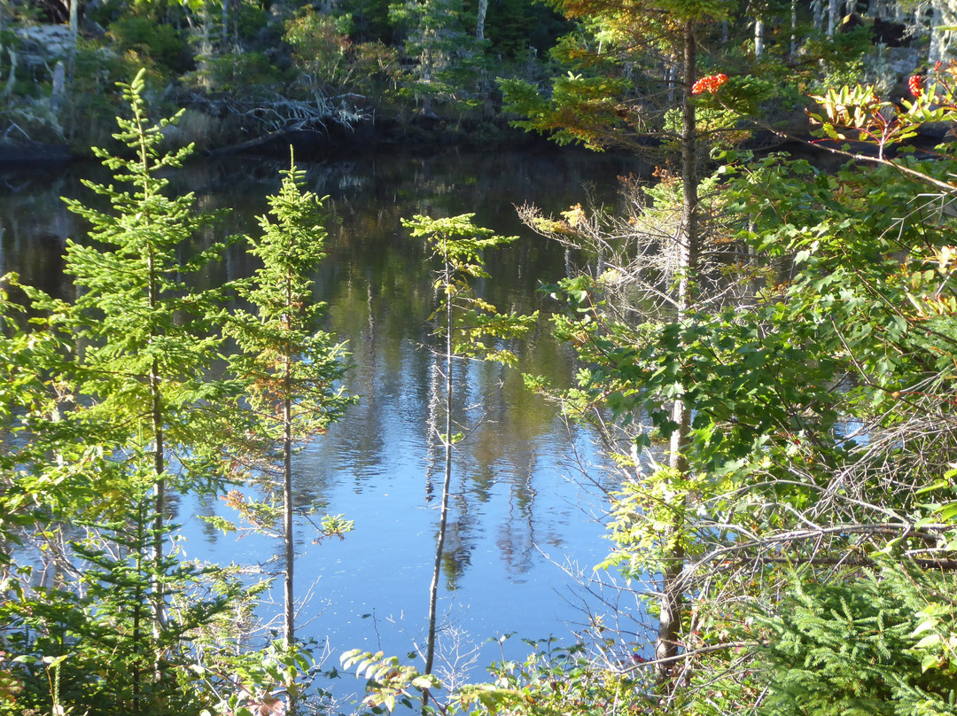 Liscombe Lodge Resort and Conference Center主图