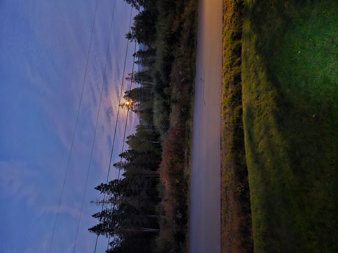 Pleasant Street Inn Bed & Breakfast主图