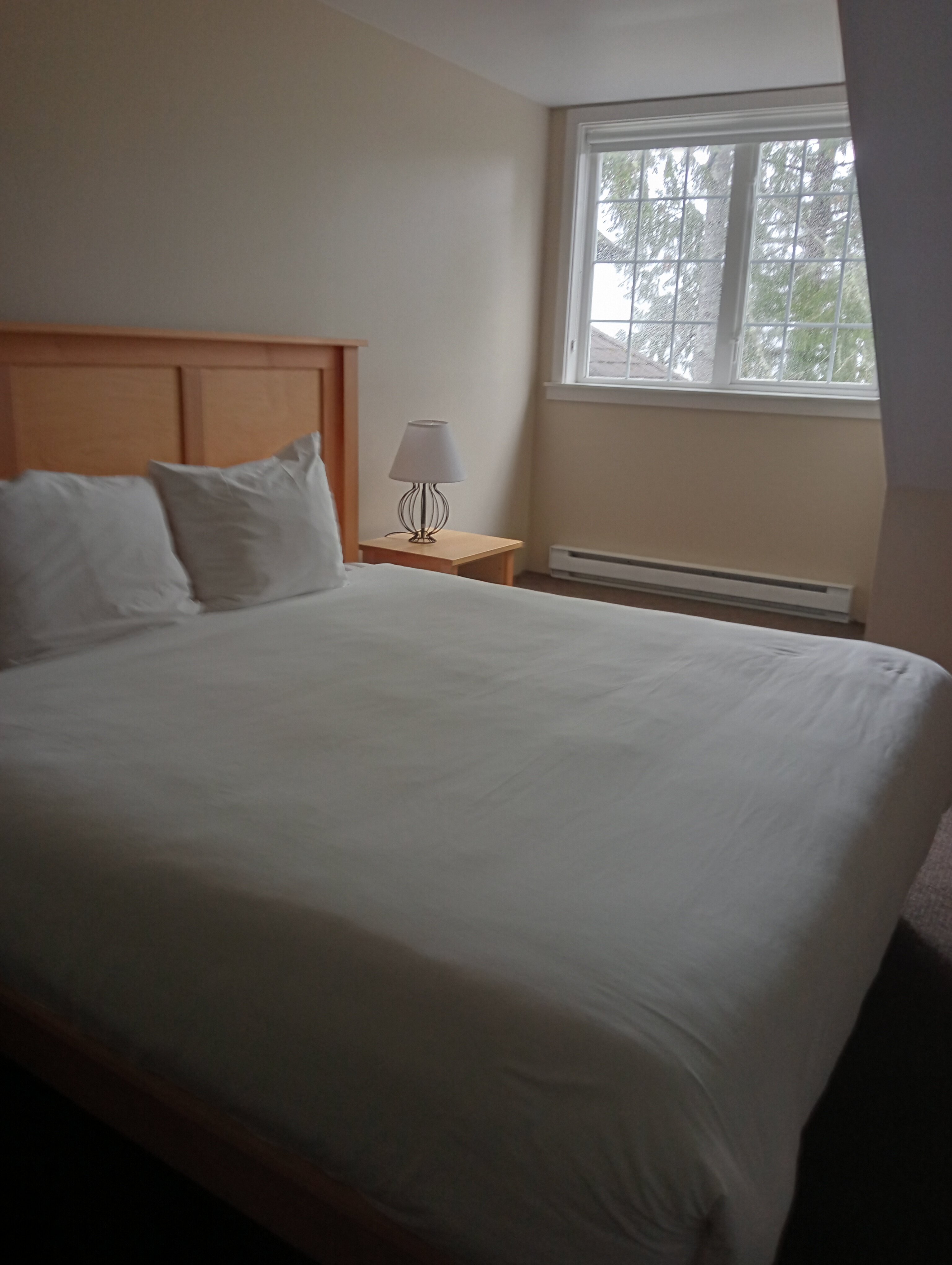 Waters Edge Shoreside Suites-客卧