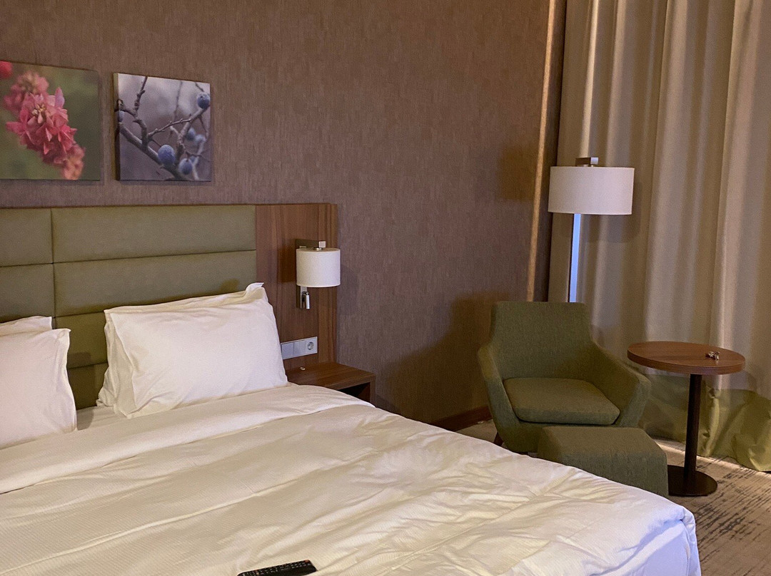 Hilton Garden Inn Orenburg主图