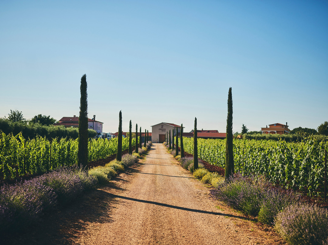 Winery Pervino-诺维格拉德必去景点