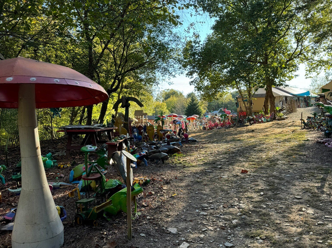 The Zoo Groovy Yard Art景点图片