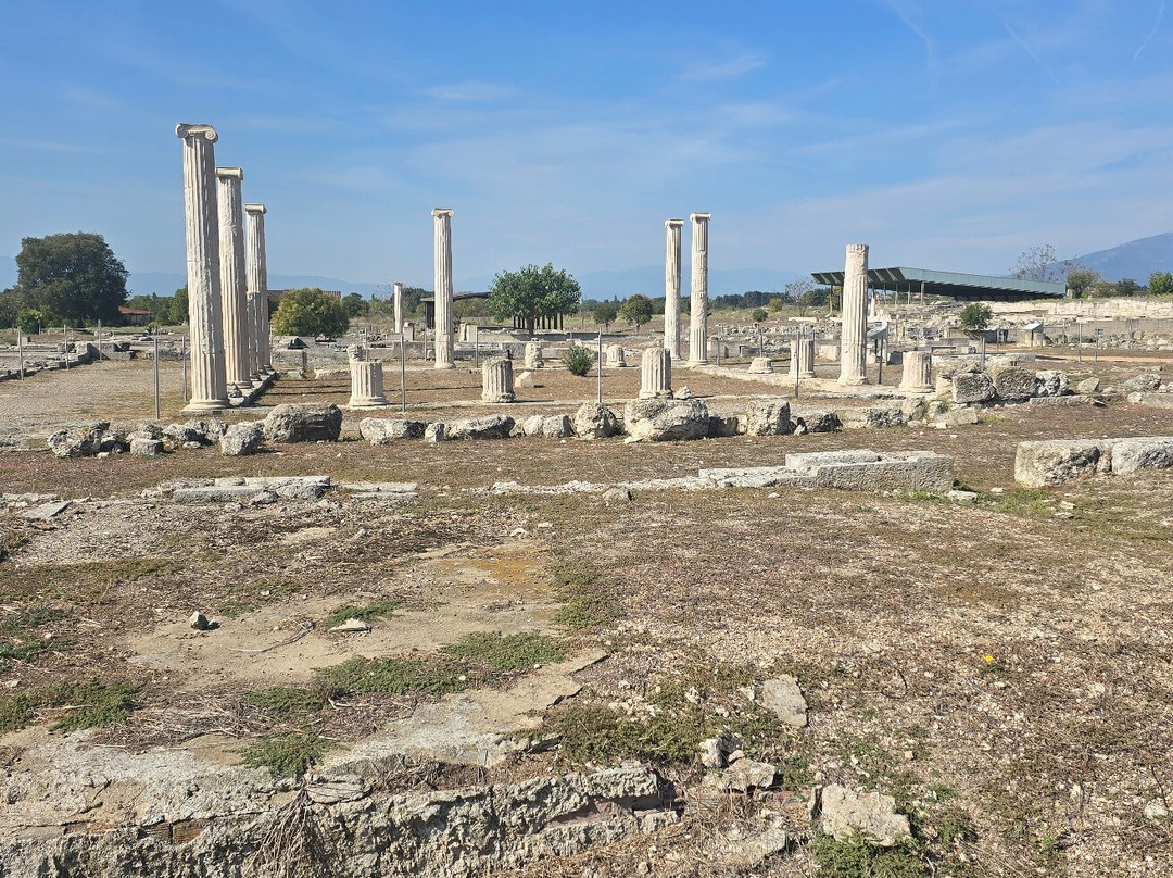 Archaeological Site at Pella-Pella必去景点