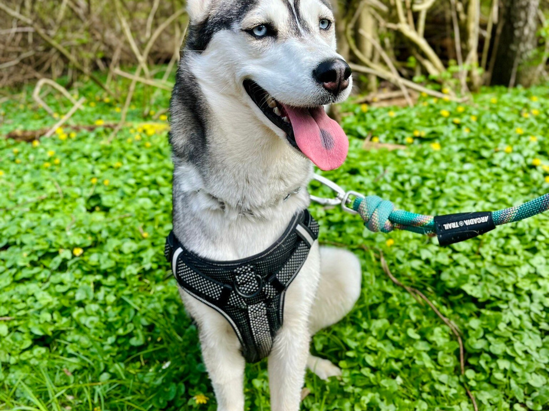 Cincinnati Nature Center-Milford必去景点