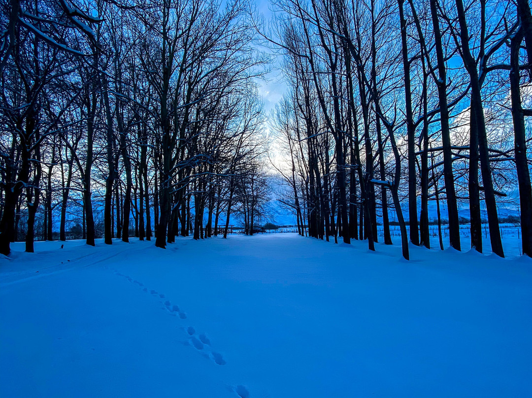 Vivacs Del Plata-Tupungato必去景点