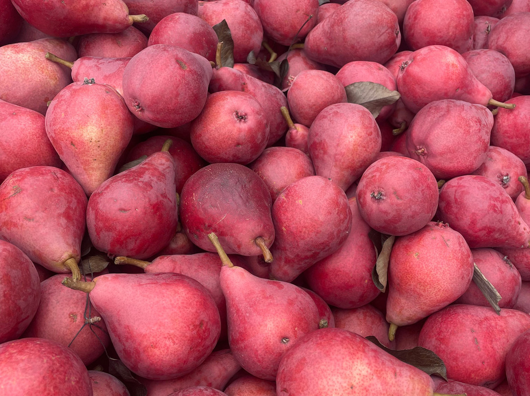 Smiley's Red Barn-胡德里弗必去景点