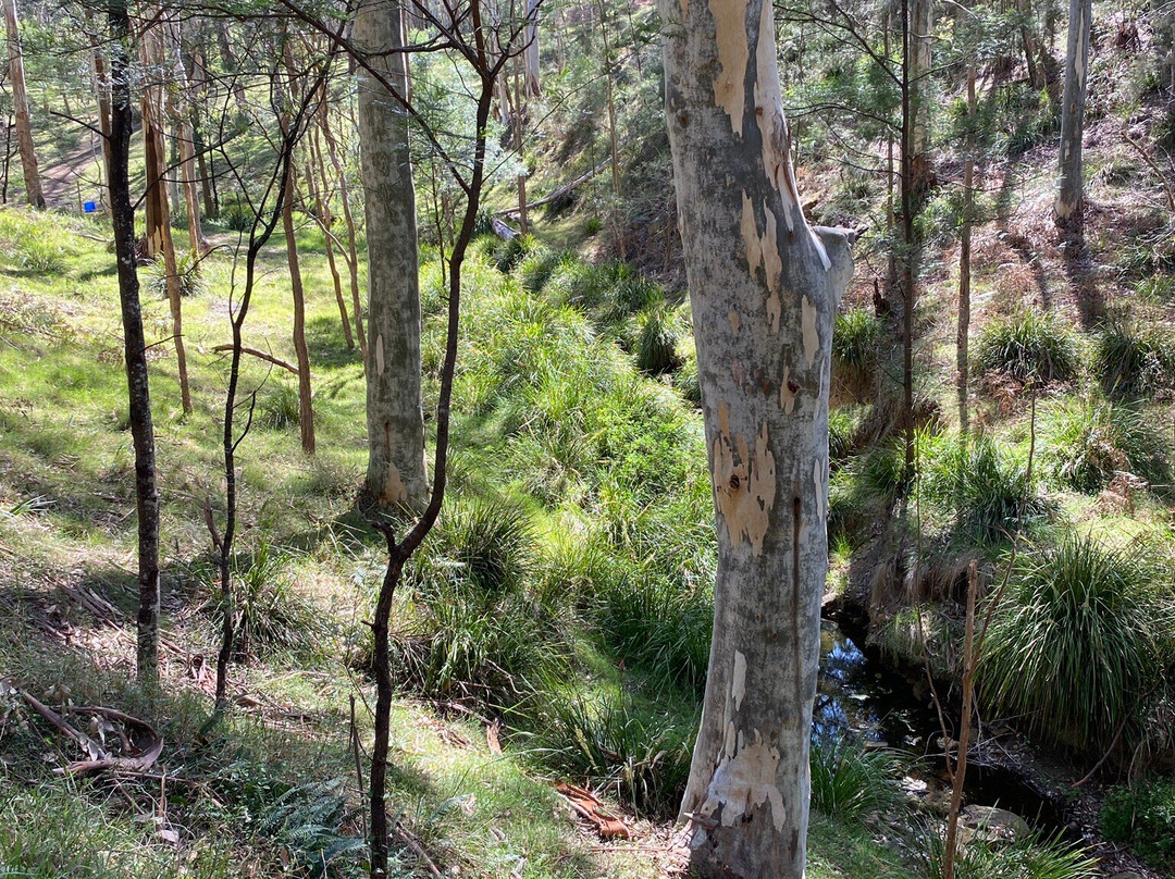 Sun Valley Fire Trail
