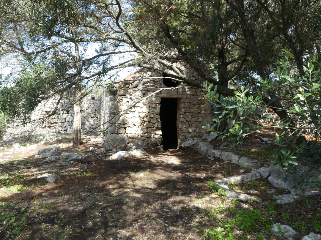 St. Mary Island景点图片