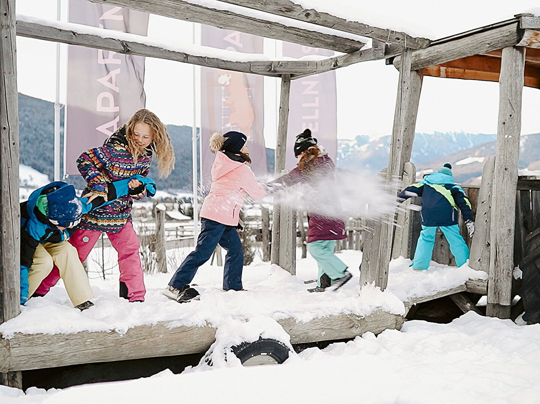 Family Apartments Winklwiese主图