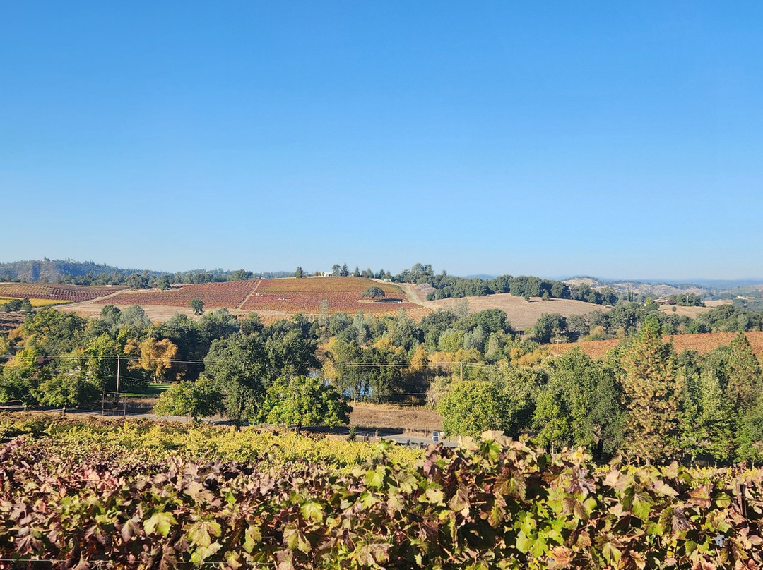 Iron Hub Winery景点图片
