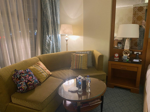 开罗尼罗河丽思卡尔顿酒店主图