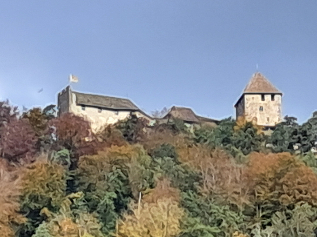 Burg Hohenklingen-施泰因必去景点