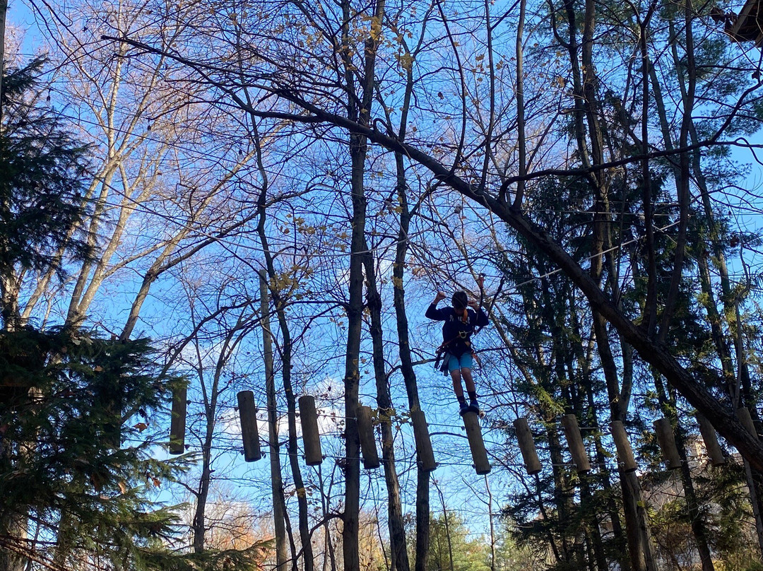 TreeTrails Adventures Trevose景点图片
