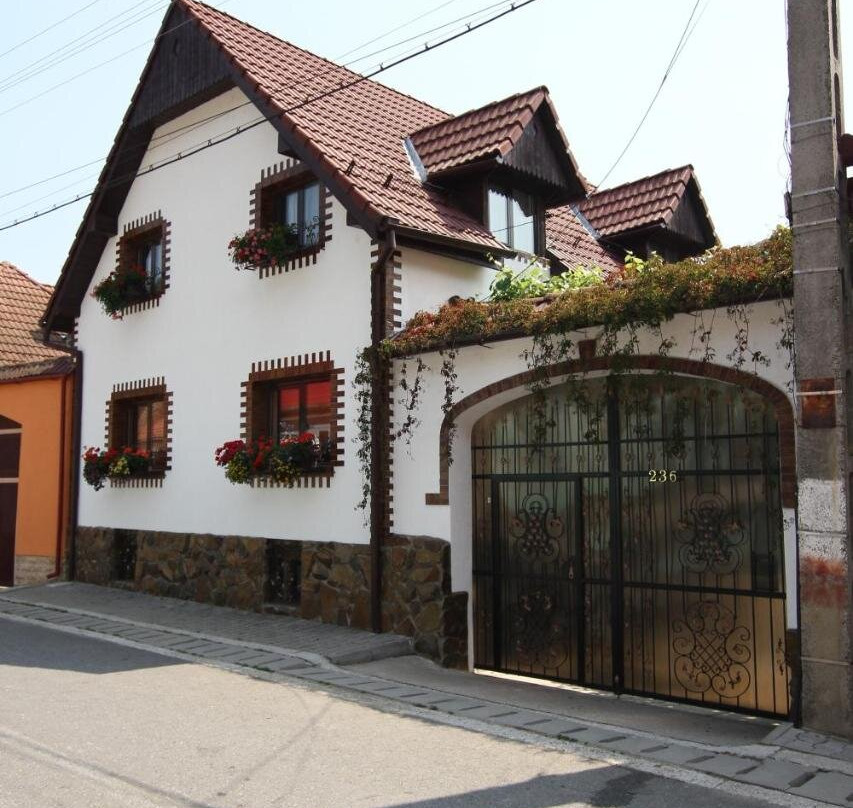 Casa Vidrighin