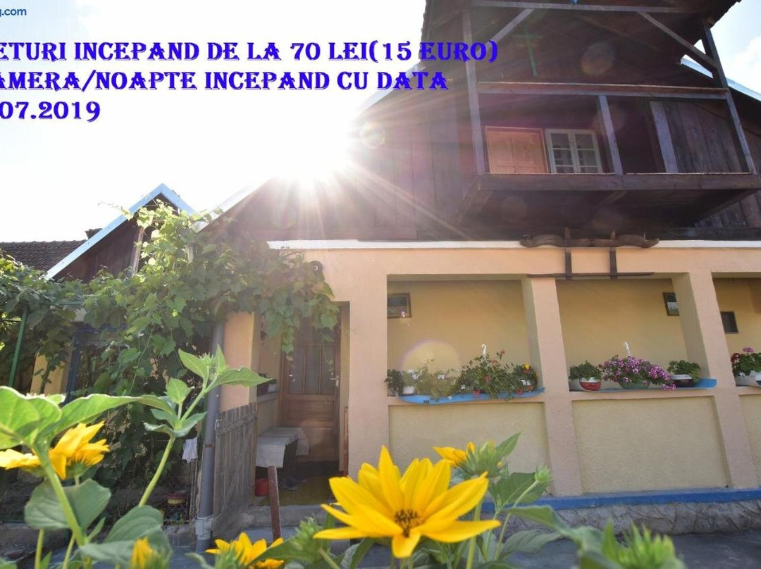 Casa Traditionala Ardeleana