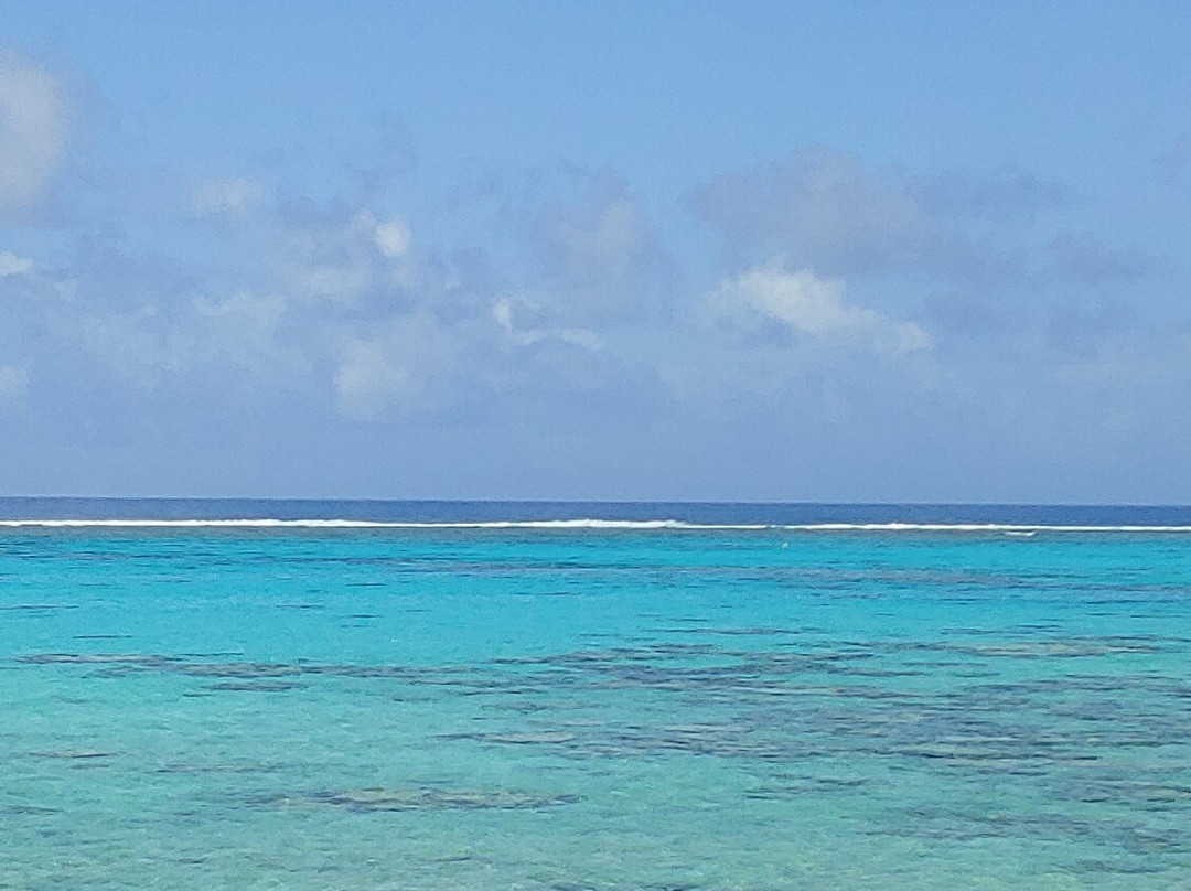 Tikioki Marine Reserve-拉罗汤加必去景点