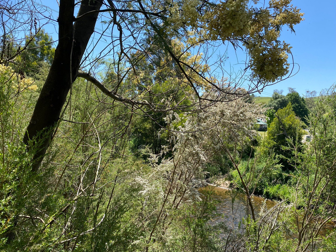 Buchan River Swing Bridge景点图片