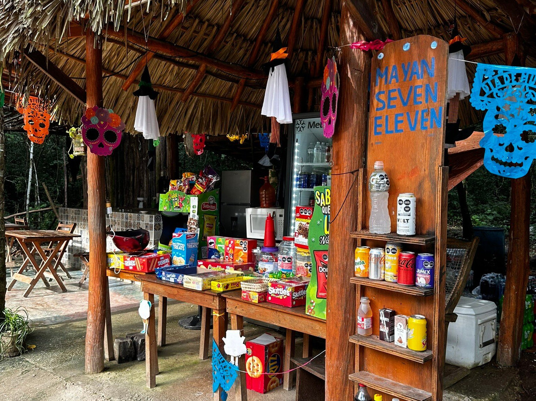 Cenote La Noria-从莫雷洛斯港必去景点