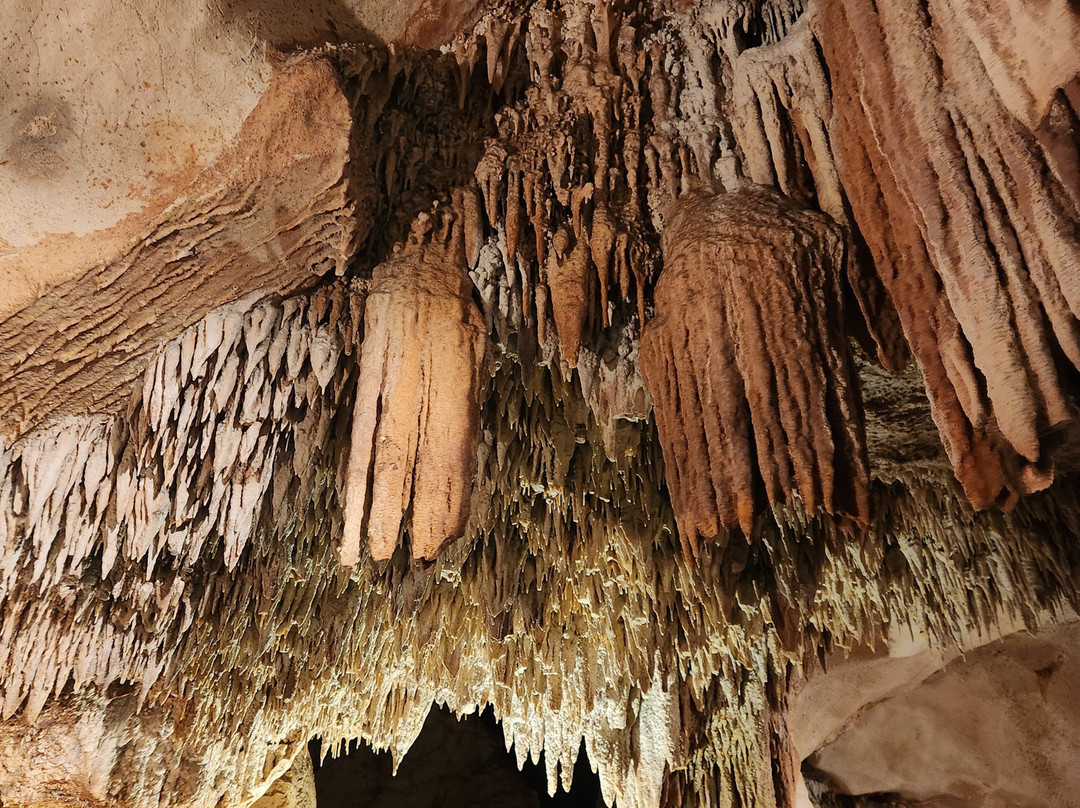 Carey's Cave, Gem of Wee Jasper-Wee Jasper必去景点