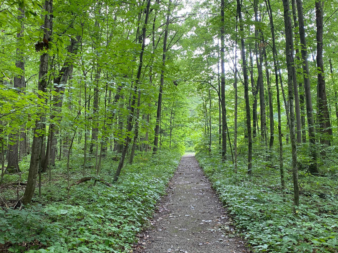 Goll Woods State Nature Preserve-Archbold必去景点