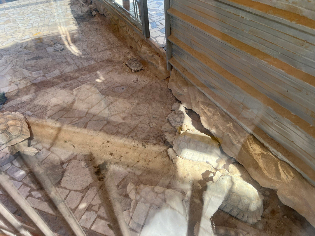 Hurghada Grand Aquarium-赫尔格达必去景点